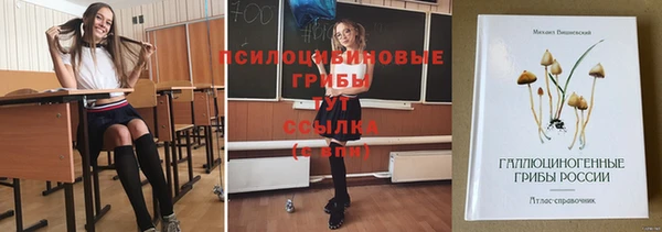 ешки Алзамай