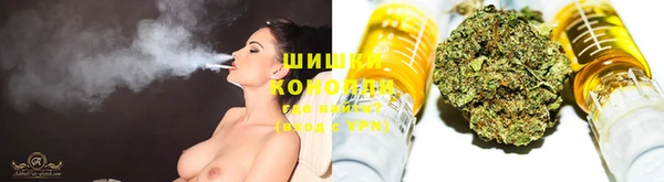 крисы Абдулино