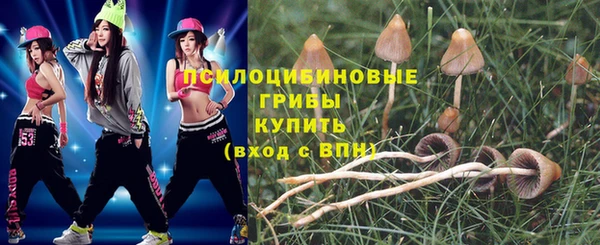 крисы Абдулино