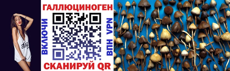 наркота  Приозерск  дарк нет наркотические препараты  Галлюциногенные грибы Psilocybe  hydra сайт 